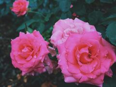 -人民公园(罗湖区)