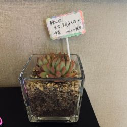 -季橙月子护理中心(金华店)