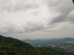 -呀诺达热带雨林