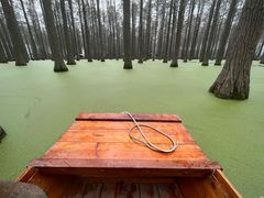 -渌洋湖湿地公园
