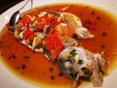 -丹江渔村(望京店)