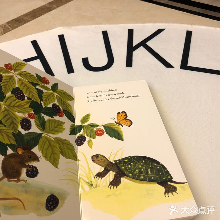 桃小主的绘本推荐《I am a Mouse》