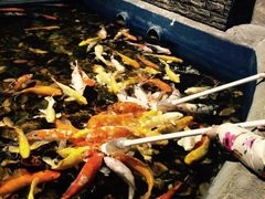 -梦幻海洋王国(吾悦广场张家港店)
