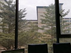 -怀德酒楼·粤菜·海鲜·茶点(宝安国际机场店)