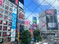 -涩谷区