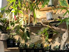 -Rabbit Cafe私房西餐甜点咖啡(栖霞路店)