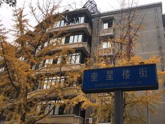 -奎星楼街