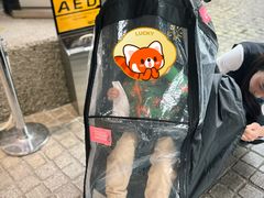 -雕刻之森美术馆
