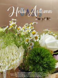 -Oasis Beauty水磨坊科技美肤中心