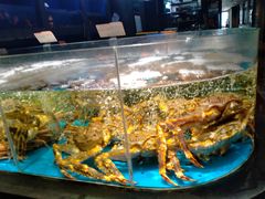 -徐记海鲜(大雁塔|金都店)