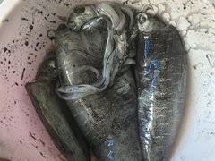 -江门古兜温泉小镇