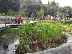 -成都市活水公园