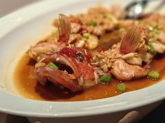 -遇外滩(BFC外滩金融中心店)