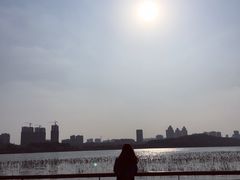 景点-月湖风景区