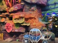 -青岛嘉年华主题乐园