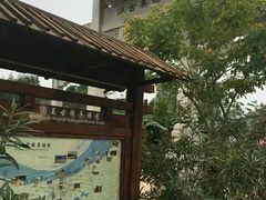 -扬美古镇景区