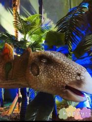 -恐龙探索乐园(磁器口店)