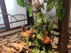 -洞庭土菜馆(天河北总店)