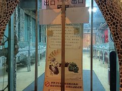 -奈雪的茶(天河城店)