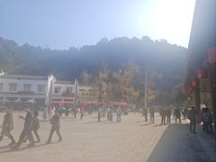 -千年银杏谷文化旅游区