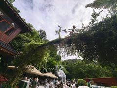 -野象谷景区