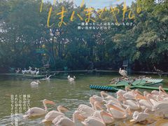 -广州长隆飞鸟乐园