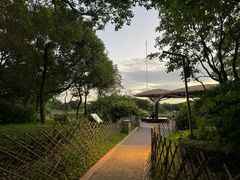 -福田红树林生态公园