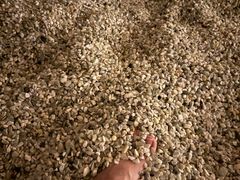 -钓鱼岛洗浴休闲会馆(卫星路店)