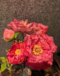 -VELEE·SPA高定疗愈会所