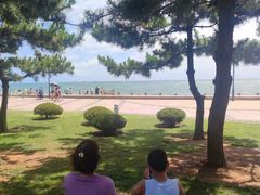 -日照灯塔风景区