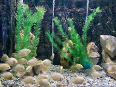 -石林冰雪海洋世界