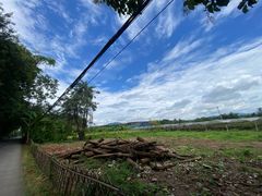 -西双版纳傣族园