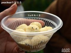 -南汇桃花村