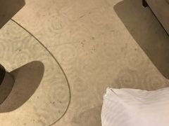 -南桥绿地铂骊酒店