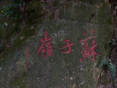 -十八棵（老龙井）御茶园(老龙井店)