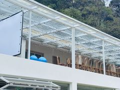 -江西阳明山国家森林公园