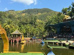 -西双版纳原始森林公园