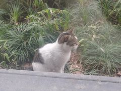 -东怡大酒店(上海科技馆店)