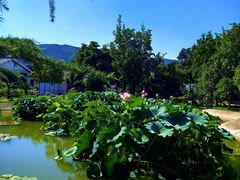 -国家植物园南园