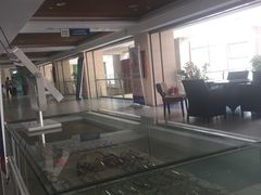 -天津大学爱尔眼科医院(天津总院)