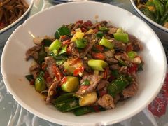 泡辣椒炒牛肉-壹盏灯(蚂蚁工房店)