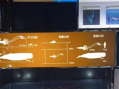 -同济大学四平路校区深海探索馆