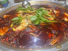 -蛙蛙鸡冷锅鱼(驷马桥店)