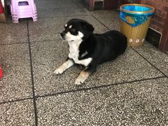 -好运来农家菜(吉林路店)