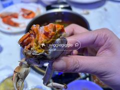 -半岛听涛蒸汽海鲜自助(K11店)