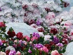 -洛阳白云山景区