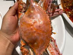 -山东八大碗山东老字号