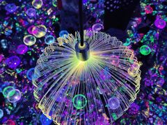 -深圳独角兽星空艺术馆