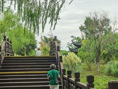 -南湖湿地公园