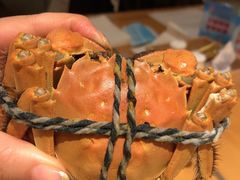 -威斯汀舞台餐厅